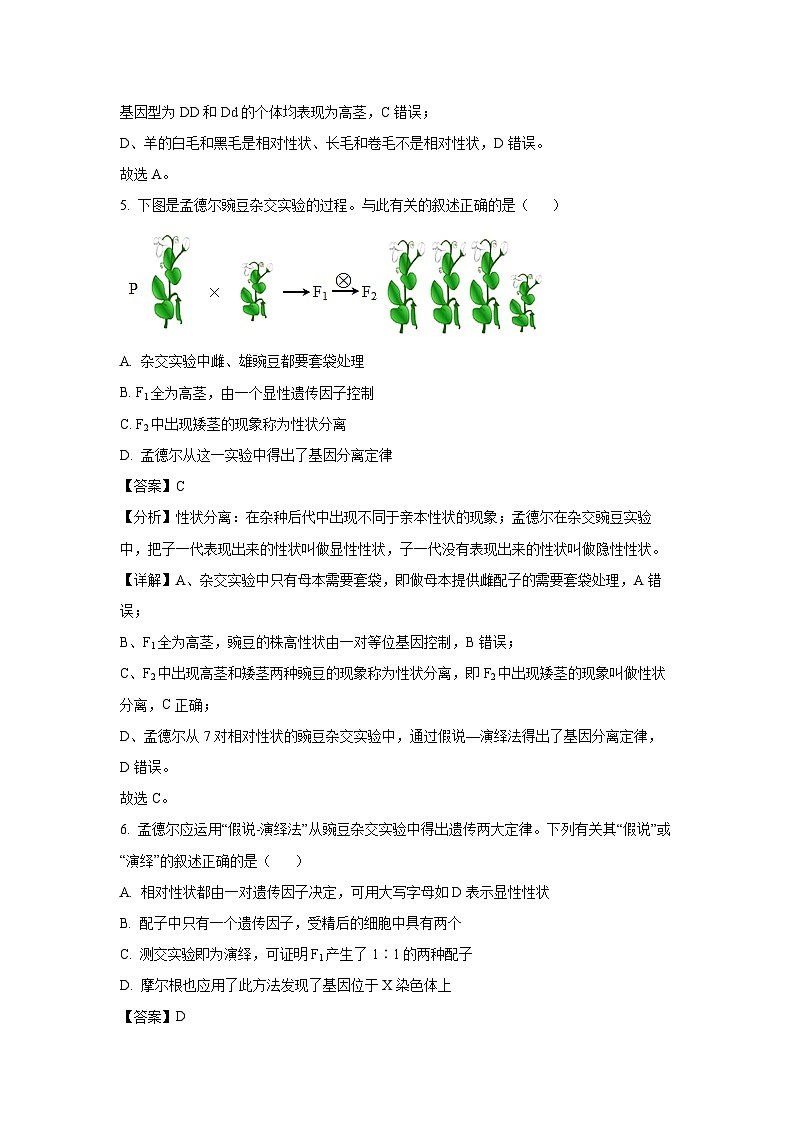 [生物][期末]河南省周口市鹿邑县2023-2024学年高一下学期期末试卷(解析版)03