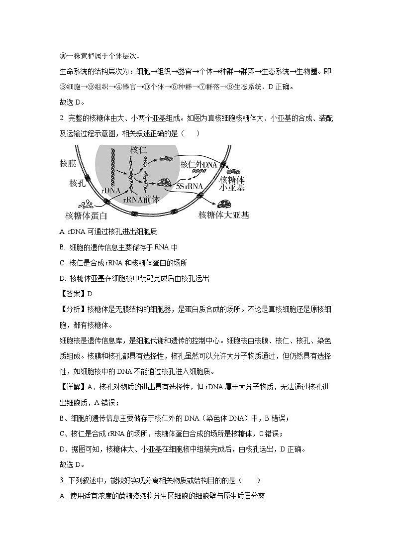 [生物][期末]河南省鹤壁市淇滨区鹤壁市高中2023-2024学年高一下学期期末试卷(解析版)02
