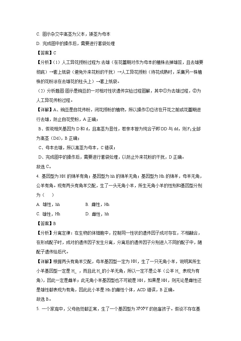 [生物][期末]福建省三明市2023-2024学年高一下学期期末考试(解析版)第3页