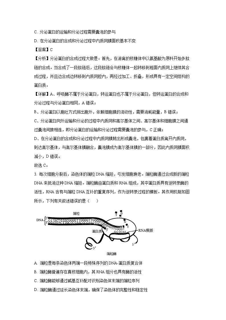 [生物][期末]安徽省亳州市2023-2024学年高一下2023-2024学年高一下学期期末考试(解析版)第2页