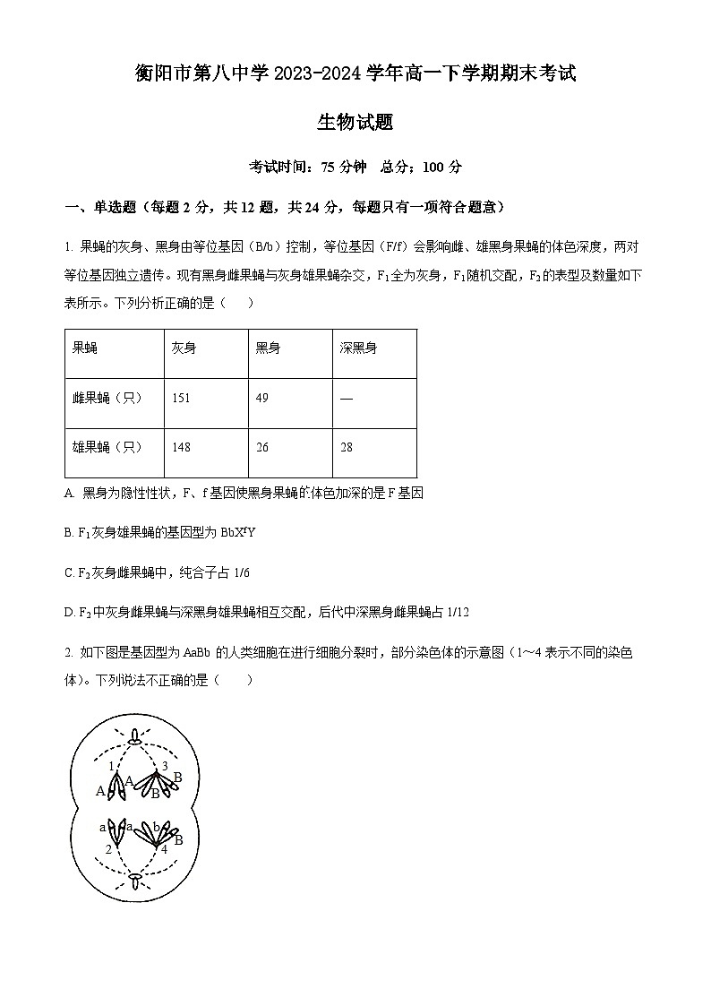 湖南省衡阳市第八中学2023-2024学年高一下学期期末考试生物试题　（含答案）第1页