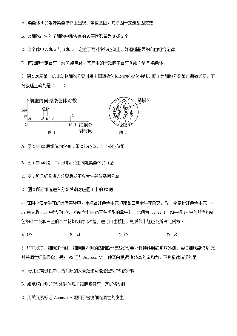 湖南省衡阳市第八中学2023-2024学年高一下学期期末考试生物试题　（含答案）第2页