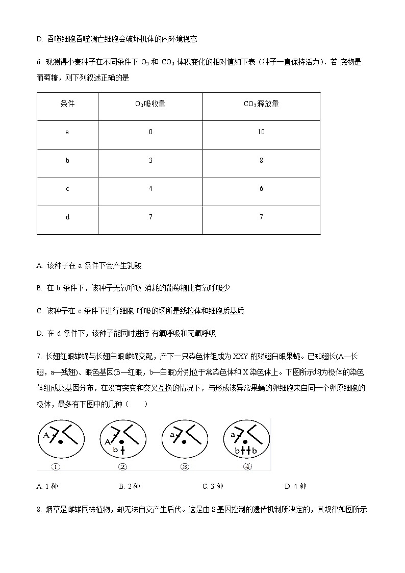 湖南省衡阳市第八中学2023-2024学年高一下学期期末考试生物试题　（含答案）第3页