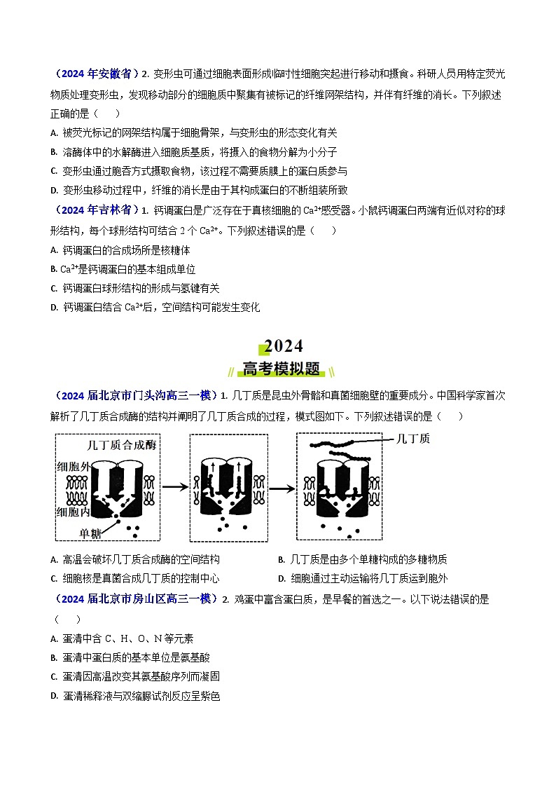 专题01 细胞的分子组成-2024年高考真题和模拟题生物分类汇编02