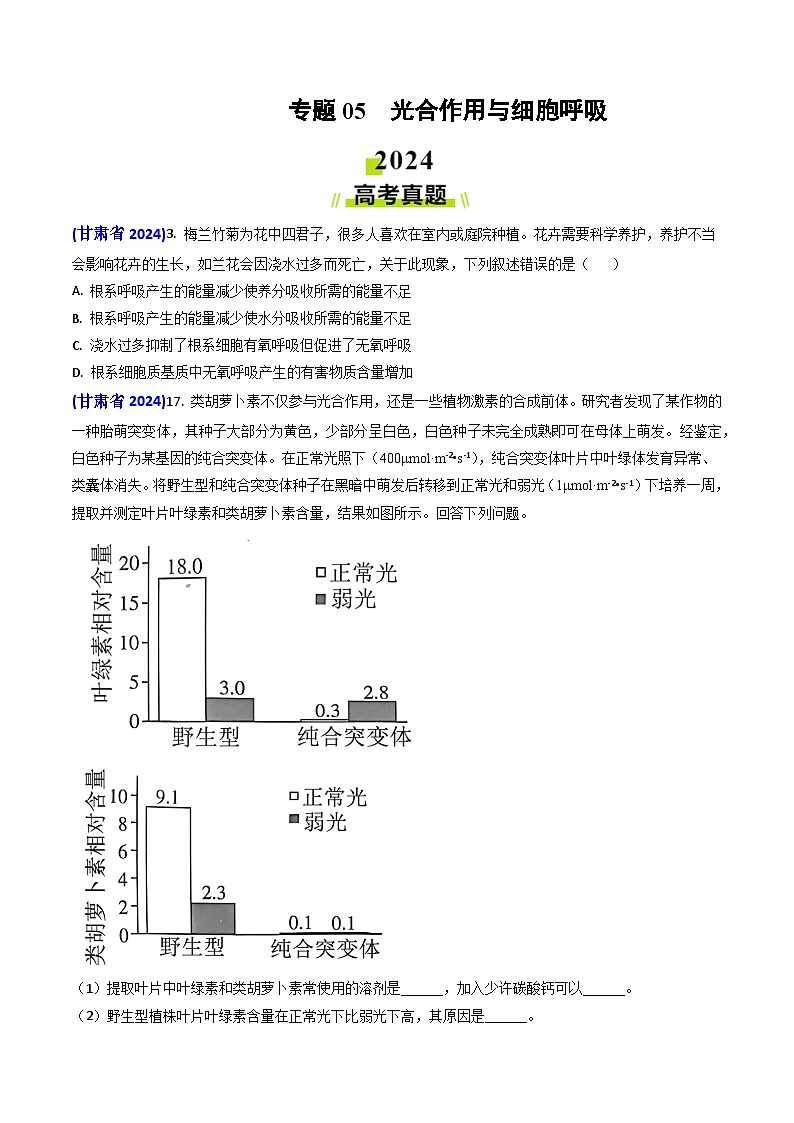 专题05 光合作用与细胞呼吸-2024年高考真题和模拟题生物分类汇编(学生卷）第1页