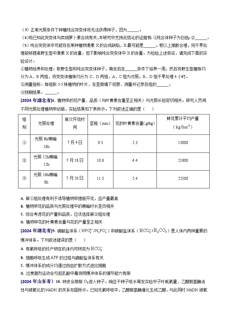 专题05 光合作用与细胞呼吸-2024年高考真题和模拟题生物分类汇编(学生卷）第2页