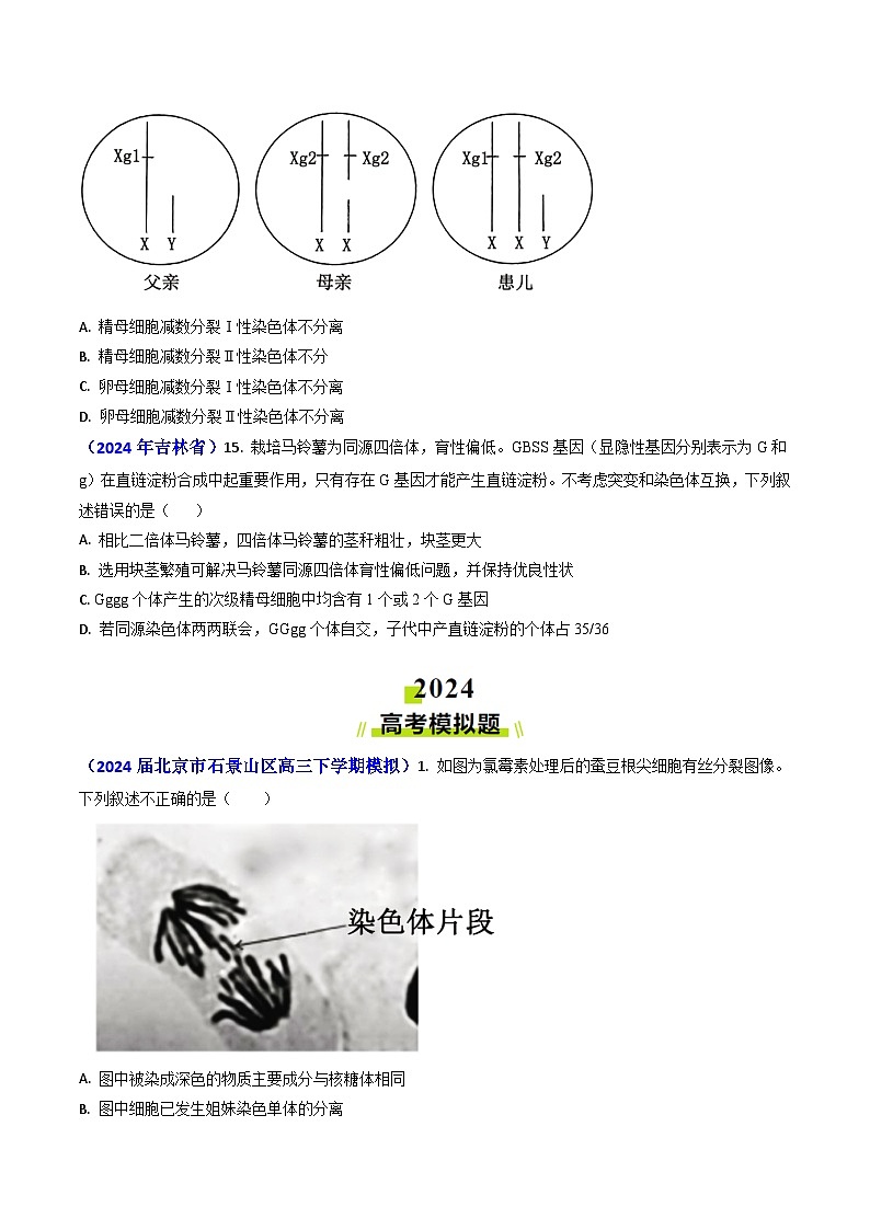专题06 细胞的增殖-2024年高考真题和模拟题生物分类汇编03