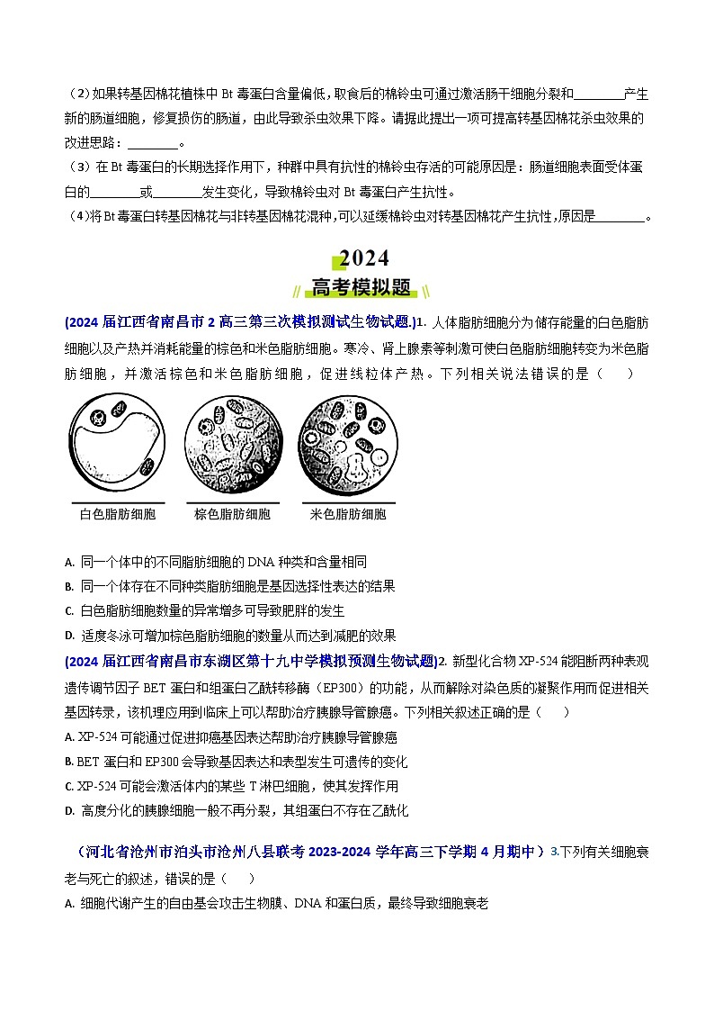 专题07 细胞的分化、衰老、死亡和癌变-2024年高考真题和模拟题生物分类汇编02