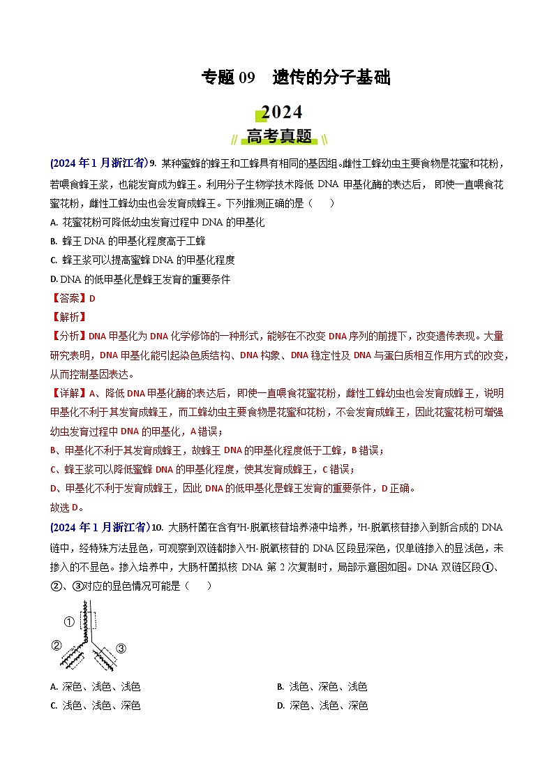 专题09 遗传的分子基础-2024年高考真题和模拟题生物分类汇编（教师卷）第1页