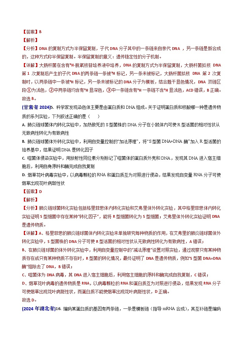 专题09 遗传的分子基础-2024年高考真题和模拟题生物分类汇编（教师卷）第2页