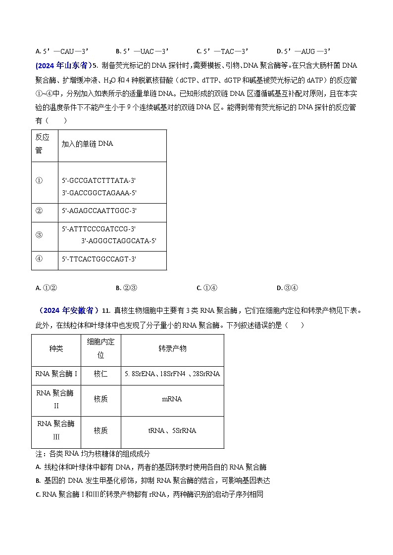 专题09 遗传的分子基础-【2024年高考真题和模拟题生物分类汇编(学生卷）第2页