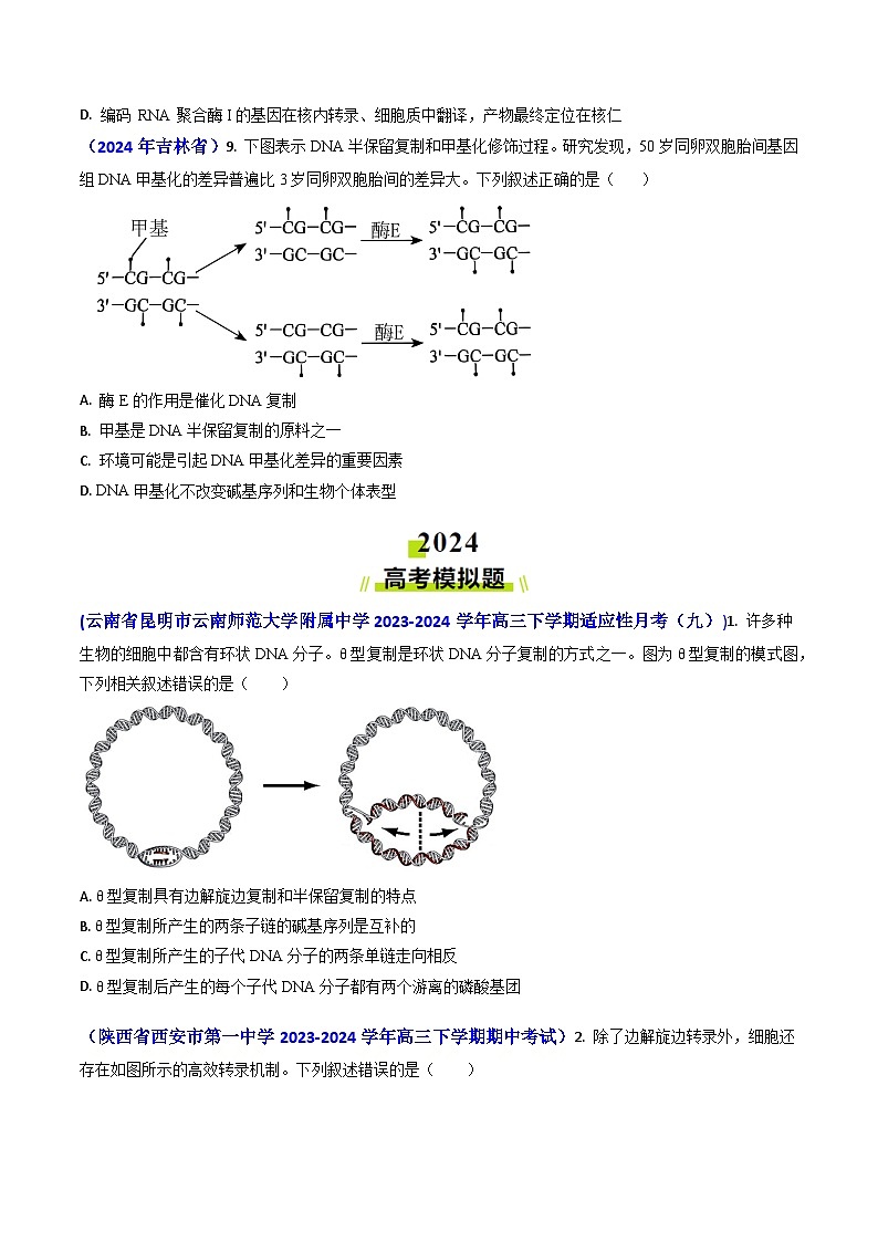 专题09 遗传的分子基础-【2024年高考真题和模拟题生物分类汇编(学生卷）第3页