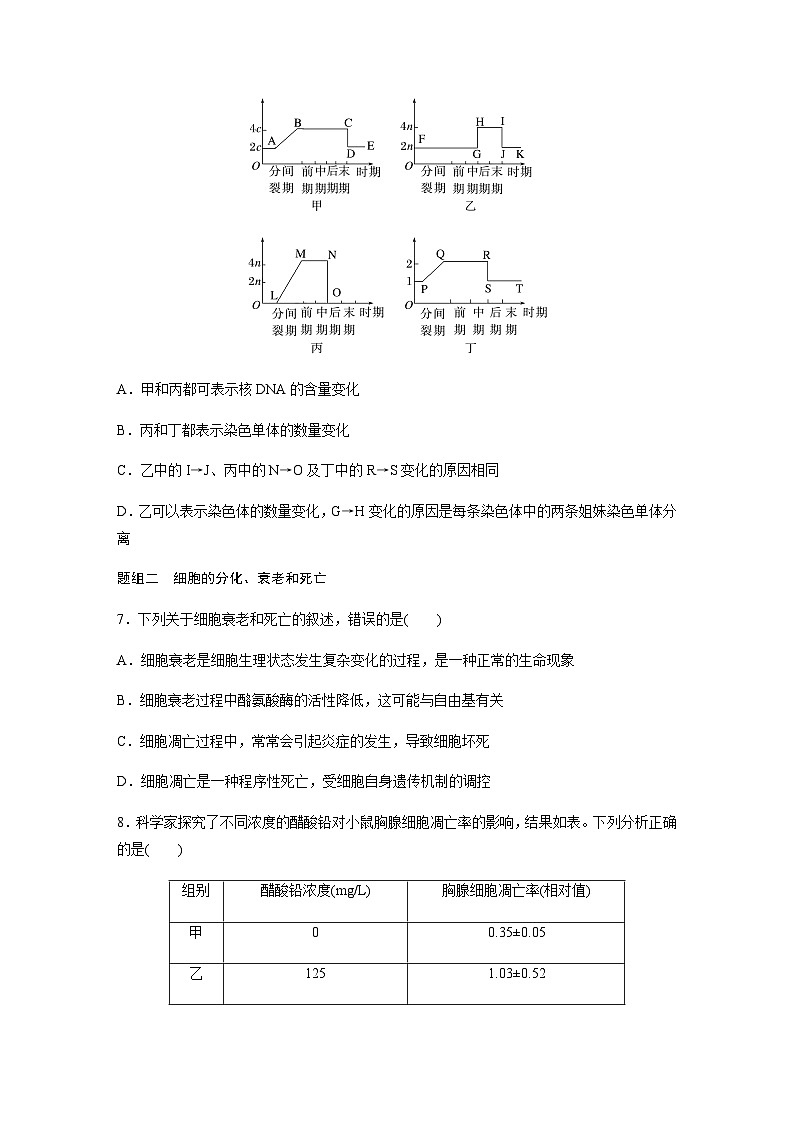 第4章　细胞增殖、分化、衰老和死亡   重点突破练(四) （含答案）高中生物必修1（苏教版2019）第3页