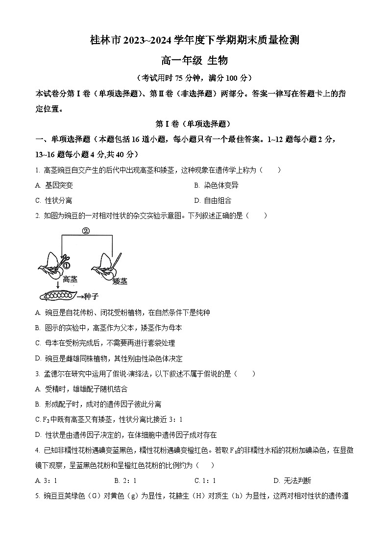 广西桂林市2023-2024学年高一下学期期末考试生物试卷（Word版附解析）01