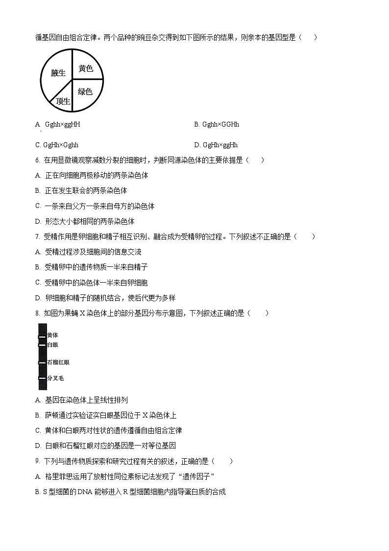 广西桂林市2023-2024学年高一下学期期末考试生物试卷（Word版附解析）02