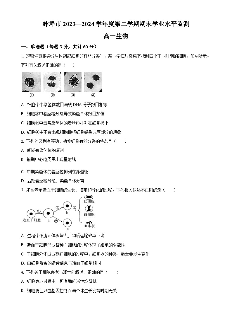 安徽省蚌埠市2023-2024学年高一下学期7月期末考试生物试卷（Word版附解析）第1页