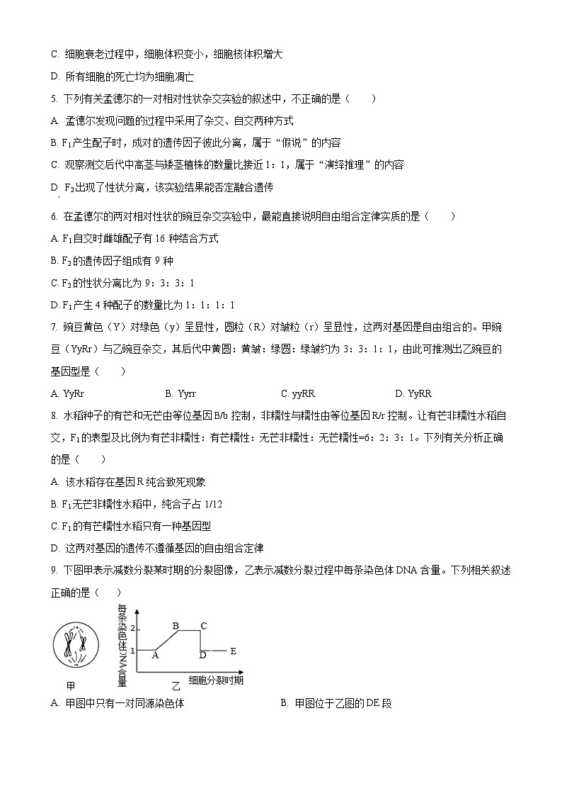 安徽省蚌埠市2023-2024学年高一下学期7月期末考试生物试卷（Word版附解析）第2页