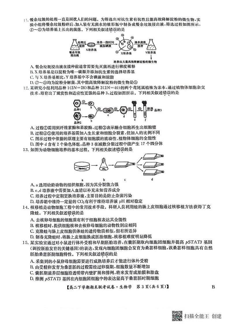河南省商丘市商师联盟2023-2024学年高二下学期7月期末生物试题03