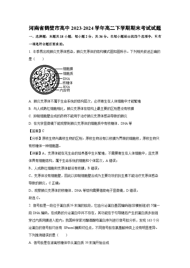 [生物][期末]河南省鹤壁市高中2023-2024学年高二下学期期末考试试题(解析版)01