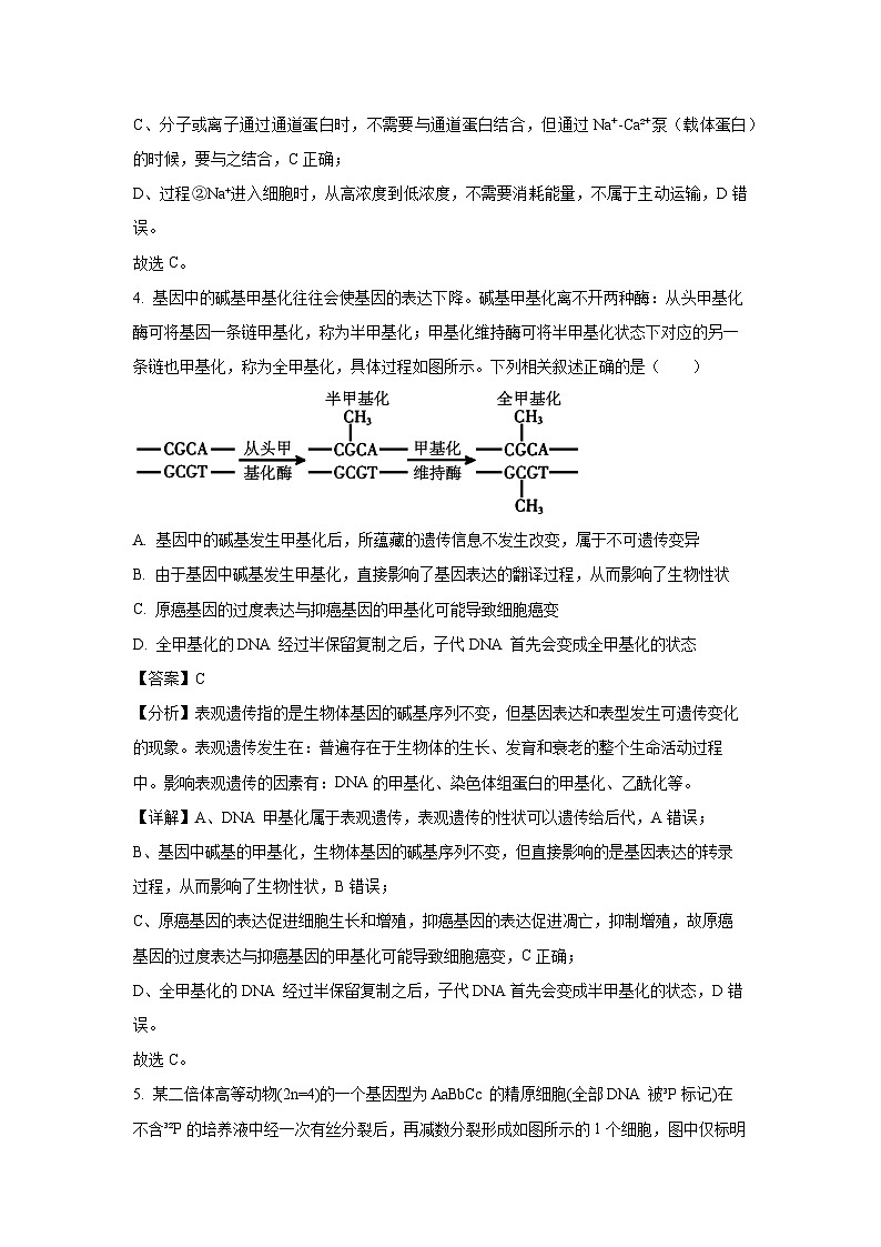 [生物][期末]湖南省郴州市2023-2024学年高二下学期期末考试试题(解析版)03