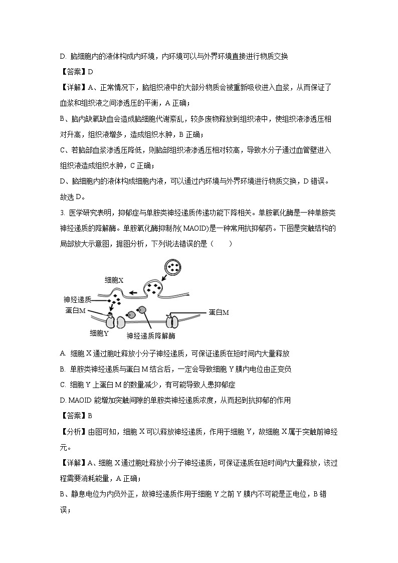 [生物]山东省淄博市临淄中学2023-2024学年高二上学期第一次月考试题(解析版)第2页