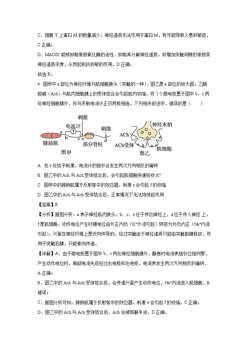 [生物]山东省淄博市临淄中学2023-2024学年高二上学期第一次月考试题(解析版)第3页