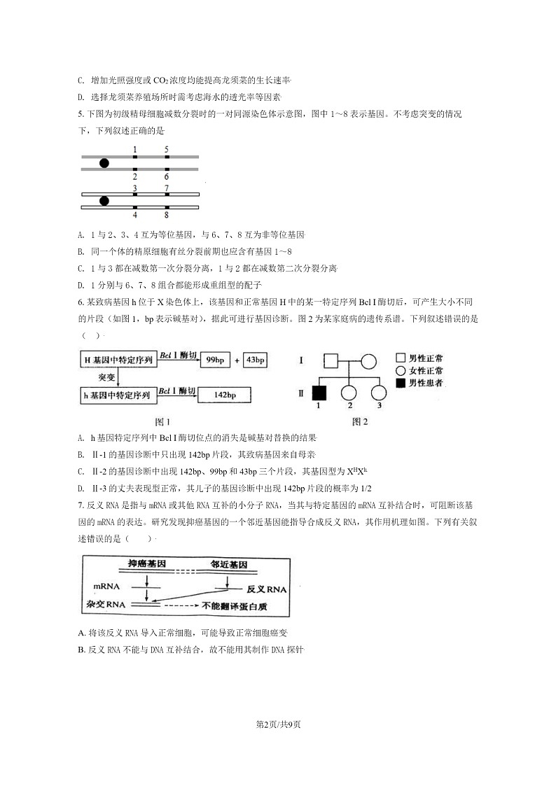 [生物]2020北京八中高三下学期4月月考生物试卷第2页