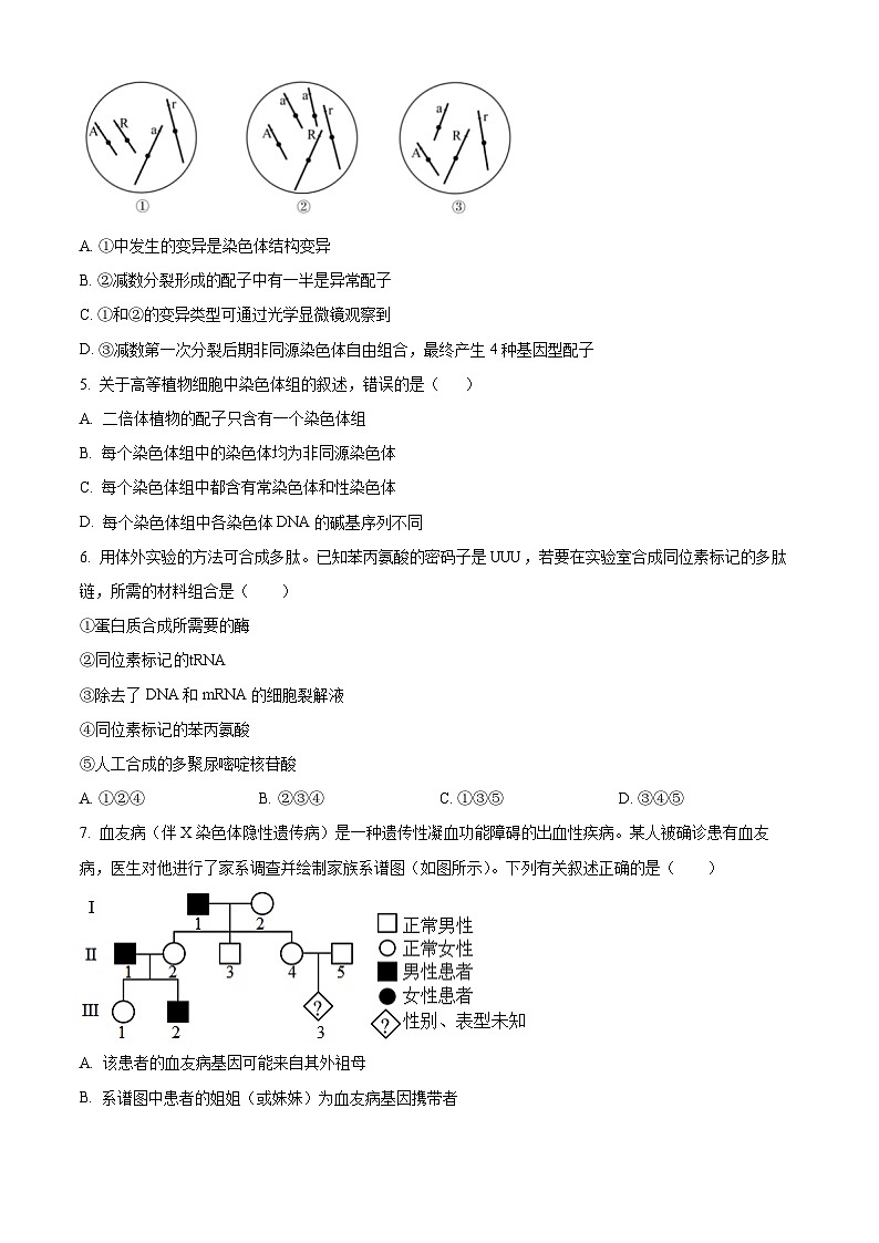 2024毕节高二下学期期末考试生物含解析第2页