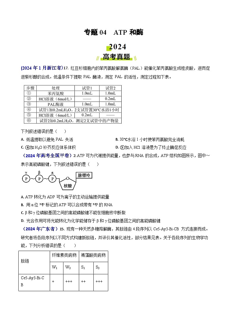 专题04 ATP和酶2024年高考真题和模拟题生物分类汇编(学生卷）第1页