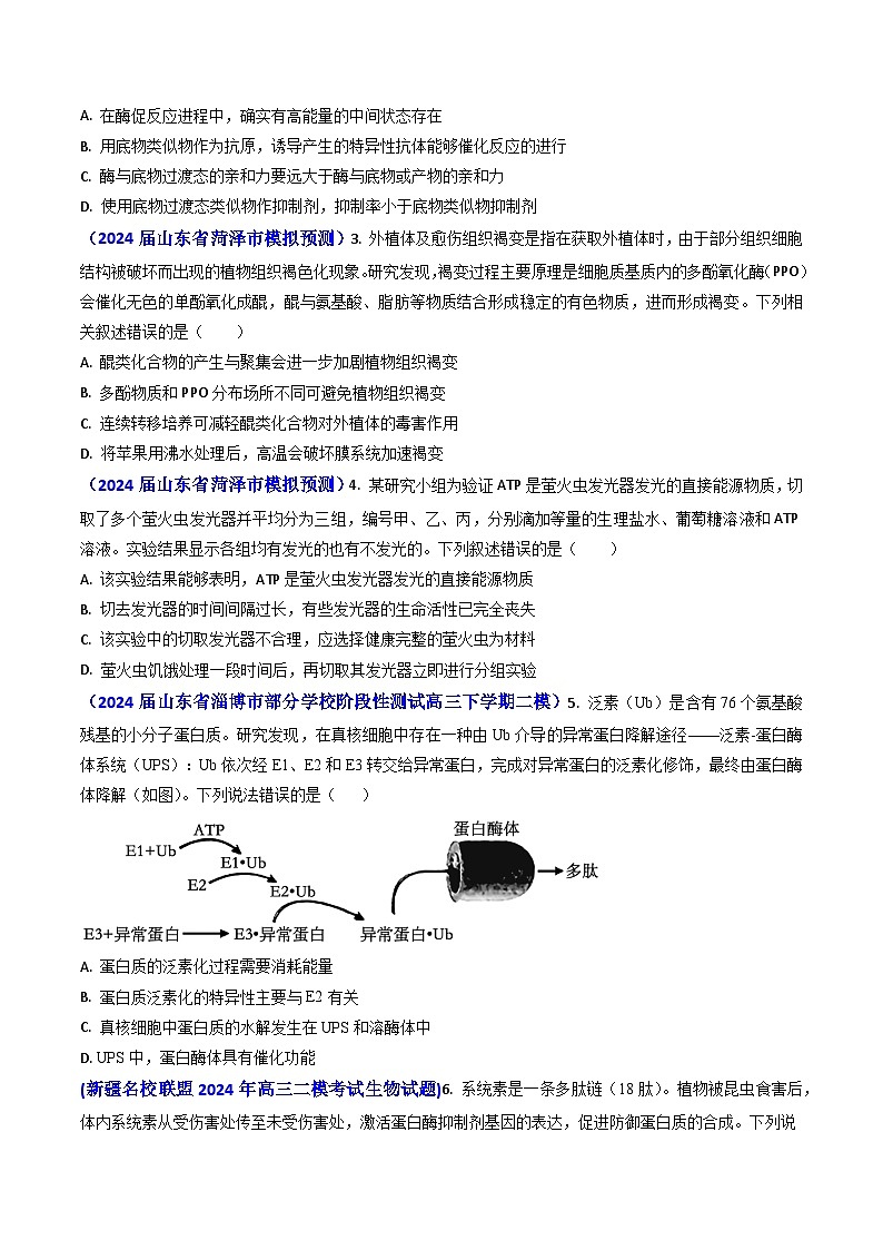 专题04 ATP和酶2024年高考真题和模拟题生物分类汇编(学生卷）第3页