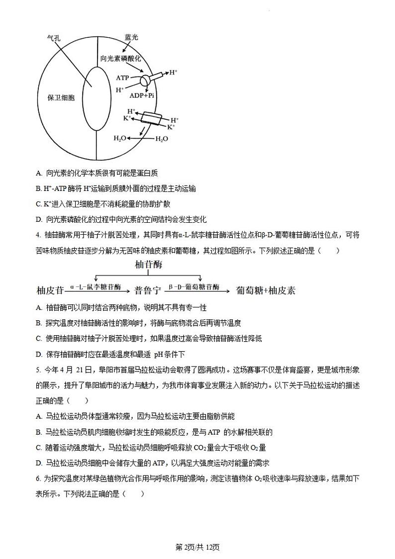 生物-安徽省阜阳市2023-2024学年高一下学期期末考试(金太阳568A)【含答案】第2页