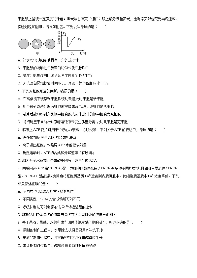 广东省广州市广铁一中、广州外国语学校、广州大学附属中学2023-2024学年高二下学期期末考试生物试题（Word版附解析）02