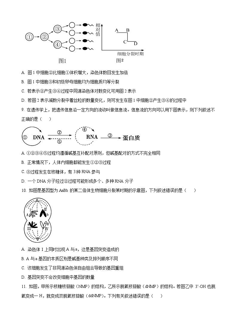 吉林省白山市2023-2024学年高一下学期7月期末考试生物试题（Word版附解析）第3页