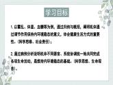 1.2内环境的稳态保障正常生命活动（教学课件）——高中生物学浙科版（2019）选择性必修一