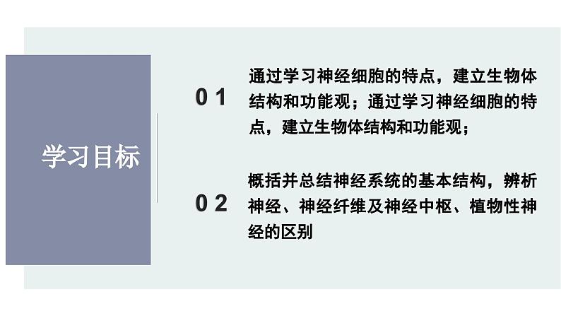 2.1神经系统是神经调节的结构基础（教学课件）——高中生物学浙科版（2019）选择性必修一第2页