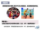 2.1神经系统是神经调节的结构基础（教学课件）——高中生物学浙科版（2019）选择性必修一