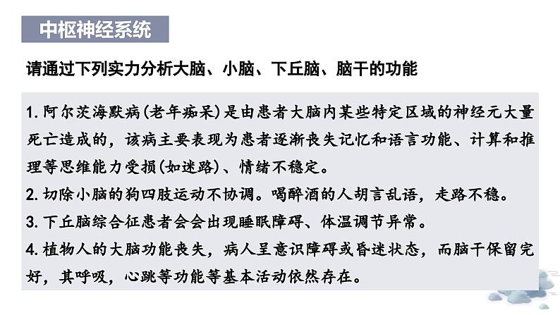 2.1神经系统是神经调节的结构基础（教学课件）——高中生物学浙科版（2019）选择性必修一第7页