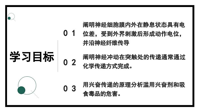 2.2神经冲动的产生和传导（教学课件）——高中生物学浙科版（2019）选择性必修一第2页