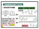 2.2神经冲动的产生和传导（教学课件）——高中生物学浙科版（2019）选择性必修一