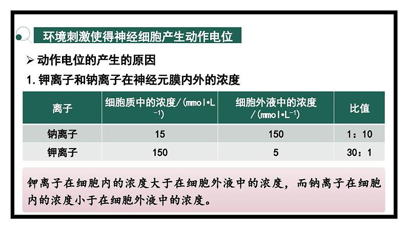 2.2神经冲动的产生和传导（教学课件）——高中生物学浙科版（2019）选择性必修一第8页