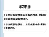 3.1神经调节是通过化学信号实现的调节（教学课件）——高中生物学浙科版（2019）选择性必修一