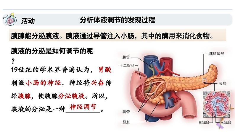 3.1神经调节是通过化学信号实现的调节（教学课件）——高中生物学浙科版（2019）选择性必修一05