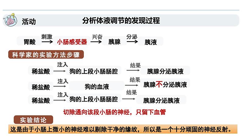 3.1神经调节是通过化学信号实现的调节（教学课件）——高中生物学浙科版（2019）选择性必修一06