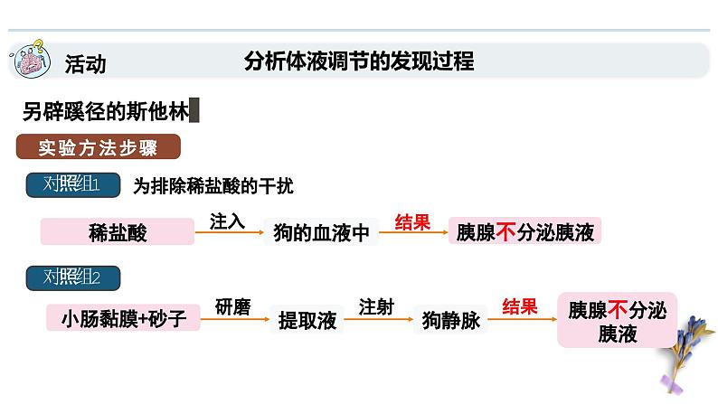 3.1神经调节是通过化学信号实现的调节（教学课件）——高中生物学浙科版（2019）选择性必修一08