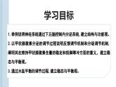 3.2 神经系统通过下丘脑控制内分泌系统（教学课件）——高中生物学浙科版（2019）选择性必修一