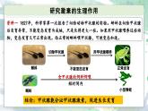3.3 激素调节身体多种机能（教学课件）——高中生物学浙科版（2019）选择性必修一