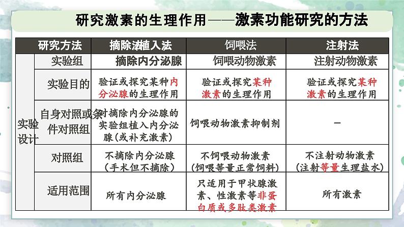 3.3 激素调节身体多种机能（教学课件）——高中生物学浙科版（2019）选择性必修一07