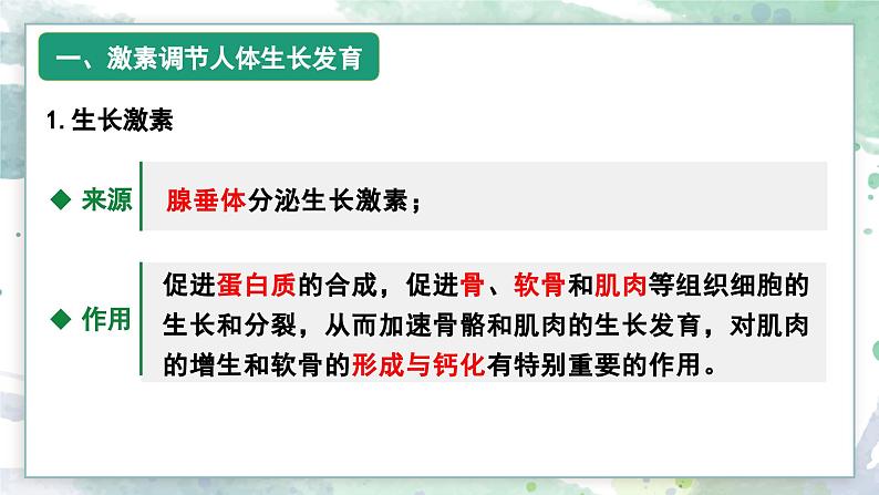 3.3 激素调节身体多种机能（教学课件）——高中生物学浙科版（2019）选择性必修一08