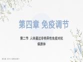 4.2人体通过非特异性免疫对抗病原体（教学课件）——高中生物学浙科版（2019）选择性必修一