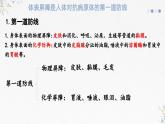 4.2人体通过非特异性免疫对抗病原体（教学课件）——高中生物学浙科版（2019）选择性必修一